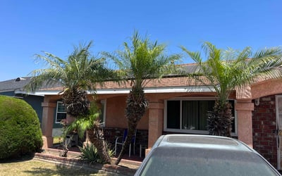 Photo of Vanessa P.'s yard after getting tree care in Palo Alto, CA