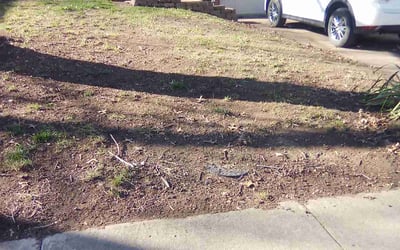 Photo of Diana B.'s yard after getting landscaping in Edgerton, KS