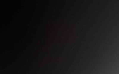 Photo of Marquis L.'s yard after getting tree care in Bellevue, WA