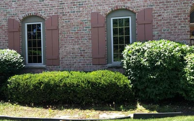 Photo of Linda H.'s yard after getting landscaping in Elm Grove, WI