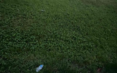 Photo of Chris F.'s yard after getting landscaping in Cleveland, MO