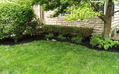 Photo of Lisa K.'s yard after getting landscaping in Radnor, OH
