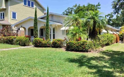 Photo of Jessica B.'s yard after getting landscaping in Saint Petersburg, FL