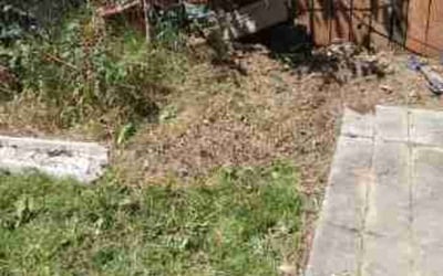 Photo of Nicole N.'s yard after getting landscaping in Cornelius, OR