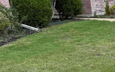 Photo of Joseph N.'s yard after getting landscaping in Rockwall, TX