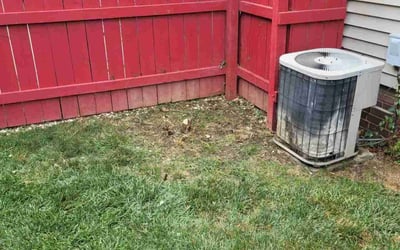 Photo of Deborah W.'s yard after getting landscaping in Oberlin, OH