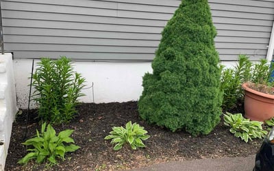 Photo of Karen M.'s yard after getting landscaping in Waterbury, CT
