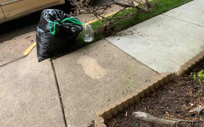 Photo of Chris W.'s yard after getting landscaping in Riverdale, MD