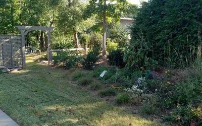 Photo of Kathy V.'s yard after getting landscaping in Liberty, SC