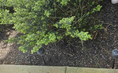 Photo of Aaron L.'s yard after getting landscaping in Smyrna, TN