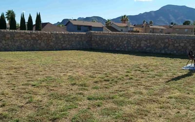 Photo of Gina S.'s yard after getting landscaping in Anthony, TX