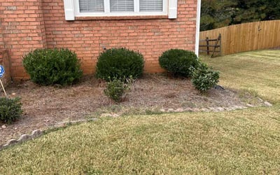 Photo of DAVID S.'s yard after getting landscaping in Mansfield, GA