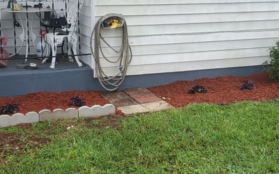 Photo of Jon R.'s yard after getting landscaping in Lakeshore, FL