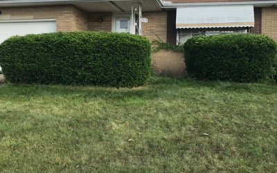 Photo of Christina A.'s yard after getting landscaping in Seville, OH