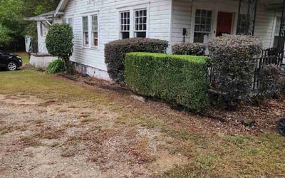Photo of Ron S.'s yard after getting tree care in Woodstock, GA