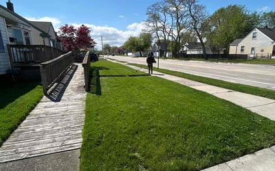 Photo of Steve S.'s yard after getting landscaping in Roseville, MI