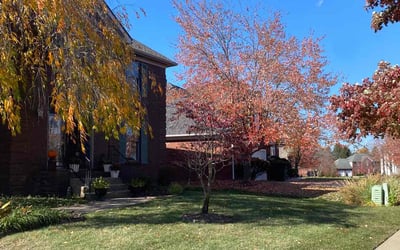 Photo of Charles O.'s yard after getting tree care in New Albany, IN