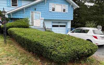 Photo of Patricia A.'s yard after getting landscaping in Medway, MA