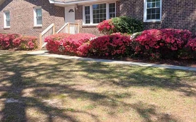 Photo of Nathan E.'s yard after getting landscaping in Seneca, SC