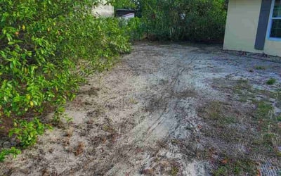Photo of Taylor M.'s yard after getting landscaping in Spring Hill, FL