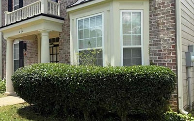 Photo of Marguerite B.'s yard after getting tree care in Lilburn, GA