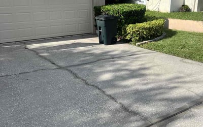 Photo of Ken D.'s yard after getting landscaping in Howey In The Hills, FL