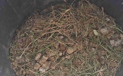 Photo of William J.'s yard after getting landscaping in Utopia, TX