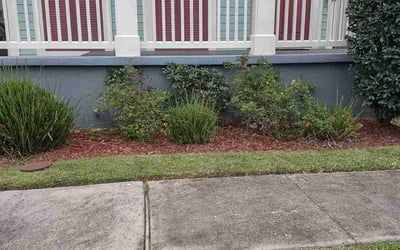 Photo of Rebecca F.'s yard after getting landscaping in Saint Rose, LA