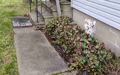 Photo of Cathy C.'s yard after getting landscaping in Niles, OH