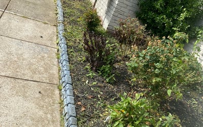 Photo of Anthony S.'s yard after getting landscaping in Marshall, VA