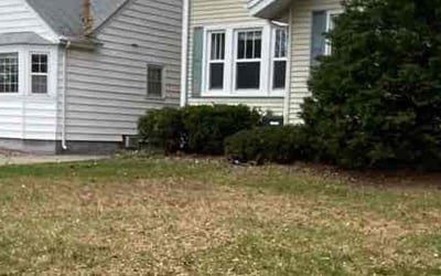 Photo of Ferris D.'s yard after getting landscaping in Saint Paul Park, MN