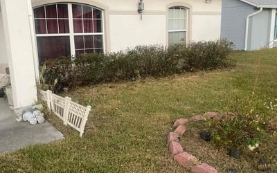 Photo of Josh M.'s yard after getting landscaping in Intercession City, FL