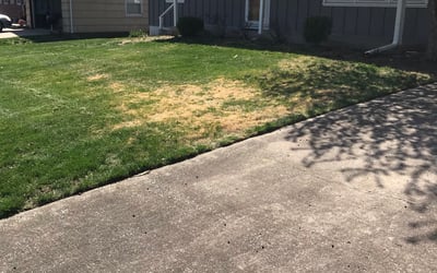 Photo of Shelley B.'s yard after getting landscaping in Archie, MO