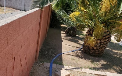 Photo of Keenan G.'s yard after getting landscaping in Coolidge, AZ