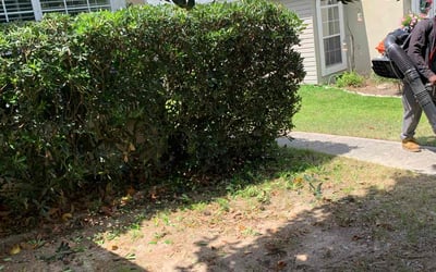 Photo of William B.'s yard after getting landscaping in Panacea, FL