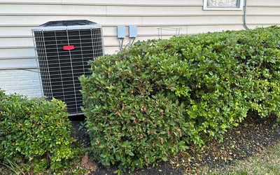 Photo of John N.'s yard after getting landscaping in Fallston, MD