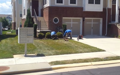 Photo of Edward S.'s yard after getting landscaping in Kearneysville, WV
