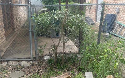 Photo of Morgan B.'s yard after getting landscaping in Somerset, TX