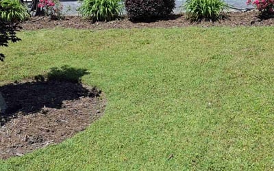 Photo of Dan S.'s yard after getting landscaping in Virginia Beach, VA