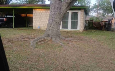 Photo of Melanie A.'s yard after getting landscaping in Longview, TX