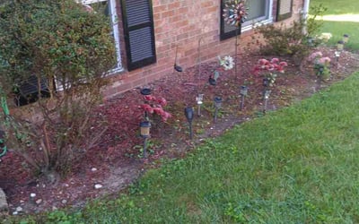 Photo of Regina P.'s yard after getting landscaping in Huntingtown, MD