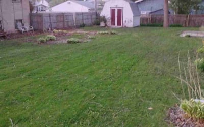 Photo of Wendy T.'s yard after getting landscaping in De Forest, WI