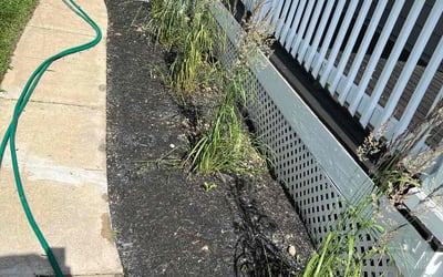 Photo of Brian C.'s yard after getting landscaping in Moscow, OH