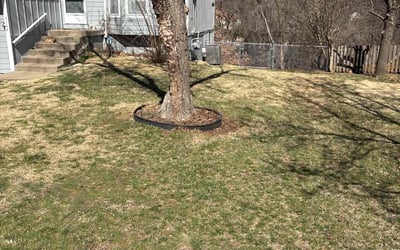 Photo of Brian L.'s yard after getting landscaping in Shawnee, KS