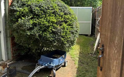 Photo of Linda D.'s yard after getting landscaping in Flower Mound, TX