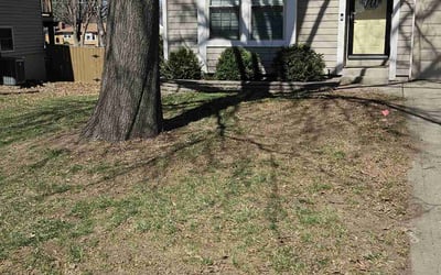 Photo of Beth S.'s yard after getting landscaping in Kansas City, KS