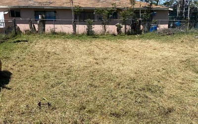 Photo of Mary L.'s yard after getting landscaping in Rosamond, CA