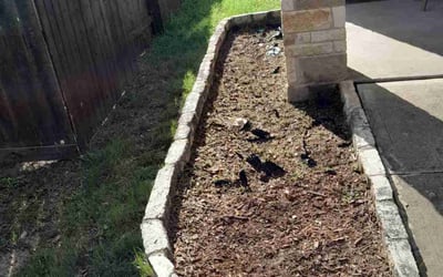 Photo of Andrew S.'s yard after getting landscaping in Smithville, TX