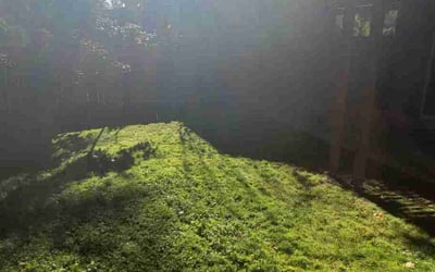 Photo of Taylor M.'s yard after getting landscaping in North Lakewood, WA