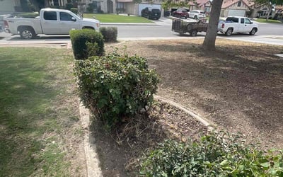 Photo of Annur S.'s yard after getting landscaping in Bakersfield, CA
